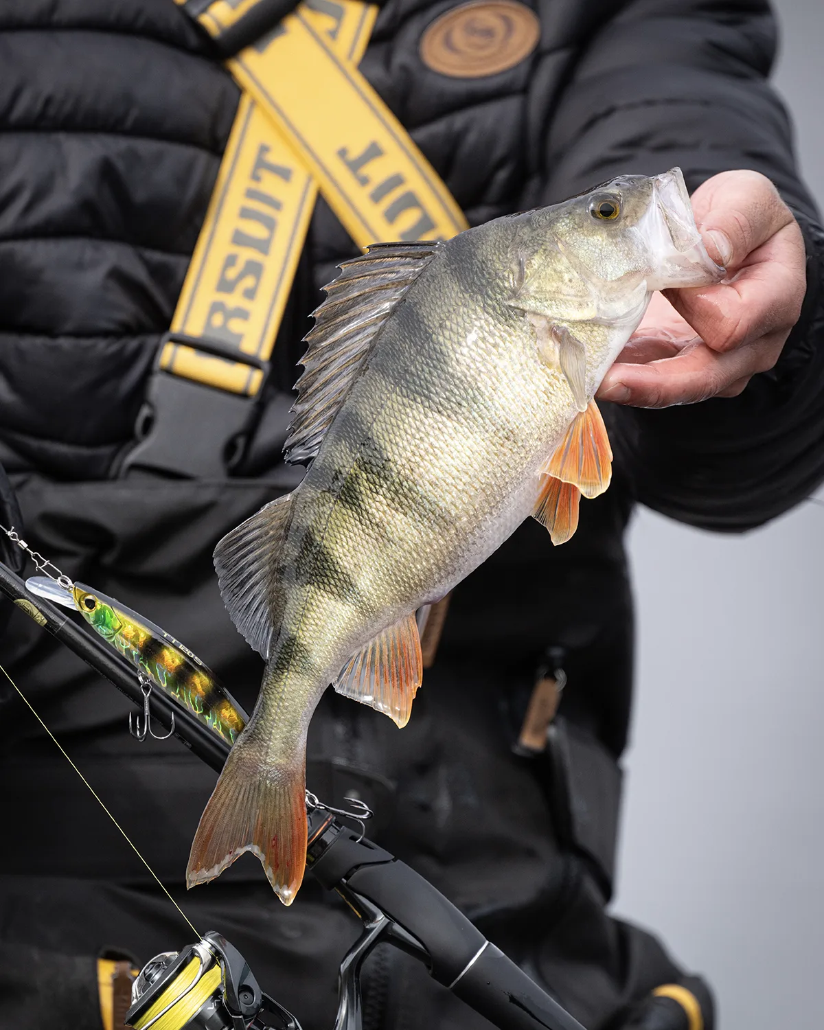 Customer photo of lure fishing