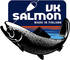 VK-Salmon logo