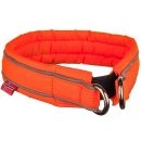 Dog Collar