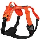 Dog Harness