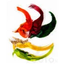 Skins, Wings and Heads