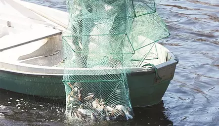 Aapo Kalatupa 5M - Fish Traps - 6418252939100 - 2