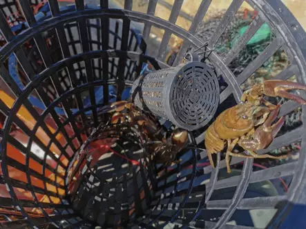 Ahti Rapumerta - Crab Fishing - 6418252920030 - 2