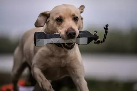 ASD Perfect Hold Dummy 3" Flasher - Training dummys - 0700905027460 - 2