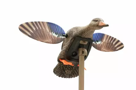 MOJO Elite Series Mini Mallard Hen - Decoys - 816740004570 - 1