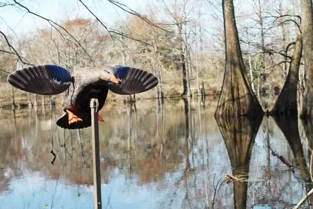 MOJO Elite Series Mini Mallard Hen - Decoys - 816740004570 - 2