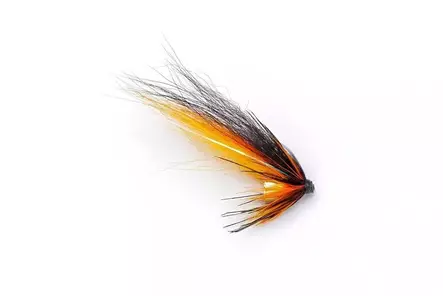 Pikku-Willie Gunn Gold Brass Cone 1/4" - Tube Flies - 8859202538550 - 1