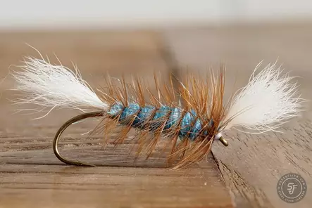 Pompero Labatt Blue - Salmon Flies - 8859202532510 - 3