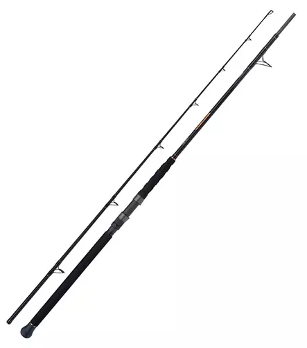 Shimano Beastmaster AX Catfish Multi 230cm 200g Spinning 2pc - Saltwater Spinning Rods - 8717009868310 - 1