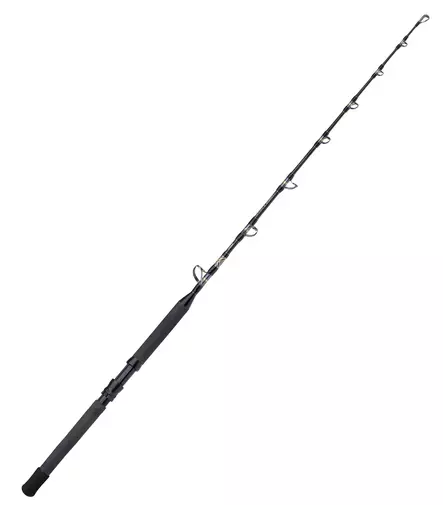 Shimano Tyrnos B Standup Spiral Bent 1pc - Boat Rods ofr Jigging - 8717009868570 - 1