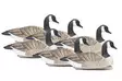Final Approach Last Pass Floating Canada Geese 6pcs - Decoys - 712131970000 - 1