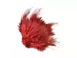 Frödinflies Pheasant Rump Feathers - Other Feathers and Plumes - 40404503010 - 10