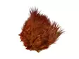 Frödinflies Pheasant Rump Feathers - Other Feathers and Plumes - 40404503010 - 2