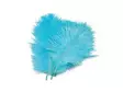 Frödinflies SNS Ostrich Hackles - Other Feathers and Plumes - 40404503020 - 8