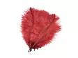 Frödinflies SNS Ostrich Hackles - Other Feathers and Plumes - 40404503020 - 4
