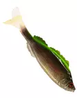 Jakki Softbait 11cm - Classic Softbaits - 22120251770 - 5