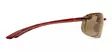 Maui Jim Banyans READER x2.5 - Tortoise Frame with HCL Lens - Plastic Lenses - 603429055080 - 3