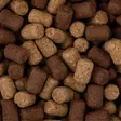 Mikado O'Fish Fish Betaine 8mm - Wafters, Hook Pellets & Mini Boilies - 5900637150510 - 5