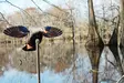 MOJO Elite Series Mini Mallard Hen - Decoys - 816740004570 - 2