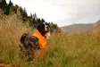 Non-stop Dogwear Protector Suit F Orange/Black - Dog Vests and Clothing - 7071652045230 - 5