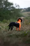 Non-stop Dogwear Protector Suit F Orange/Black - Dog Vests and Clothing - 7071652045230 - 4