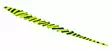 Pacchiarinis Saddle Tails XXL - Other Fly Tying Products - 40850006540 - 9
