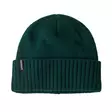 Patagonia Brodeo Beanie Cascade Green - Beanies - 198077131540 - 1