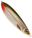 Rapala Rattlin Minnow Spoon 8cm 16g - Spoons 15-30 g - 022677233550 - 25
