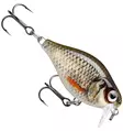 Rapala X-light Crank Shallow 3,5cm - Wobblers <6 cm - 34004000 - 9