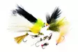 Perholajitelma kirjolohenkalastukseen - Fly Assortments - 8859202538970 - 1