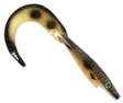 The Giant Pig Tail 40cm 130g - Soft Baits for Pike yli 100g - 1401202310 - 9
