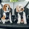 Thule Cappy Black - Other Dog Accessories - 197074666130 - 5