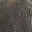 Veniard Guinea Body Feathers - Other Feathers and Plumes - 40400400040 - 9