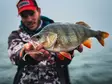 VMC Dart Jig Matt Craw - Jig Heads - 3422993062600 - 3