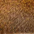 Wapsi Deer Hair Fine & Short - Body Hairs - 405002000990 - 7