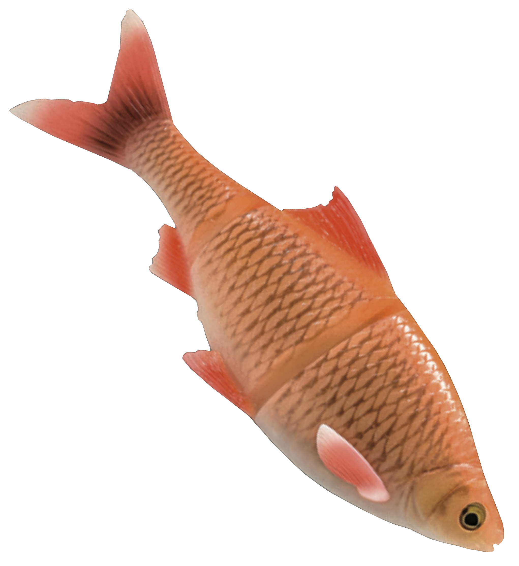 savagegear4dlinethruroach32cm4