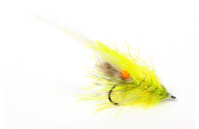 Alive Reke Chartreuse - Shrimps - 7033840135710 - 1