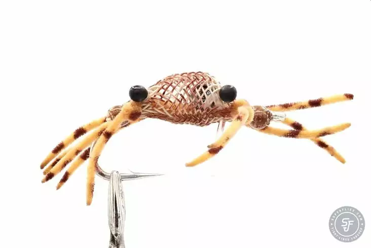 Alphlexo Crab Tan Stripe - Shrimps - 8859202531070 - 1