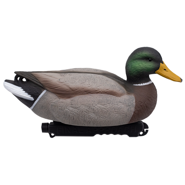 Kaave, sorsa 12kpl - Decoys - 071617045600 - 1