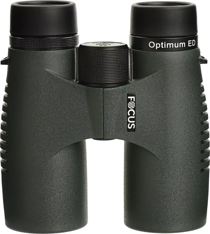 Focus Optimum 10x42 ED - Traditional Binoculars - 7391879053260 - 1