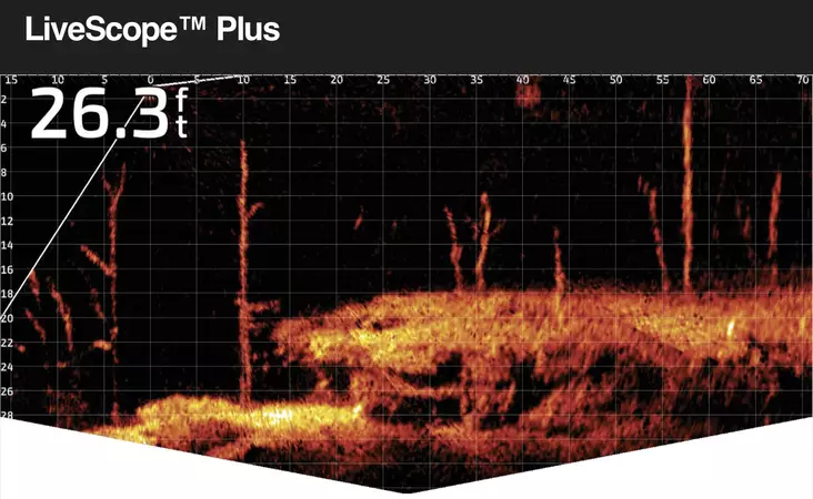 Garmin 010-02706-20 LiveScope Plus LVS34-IF トランスデューサー Livescope™ Plus System | Live Scanning Sonar