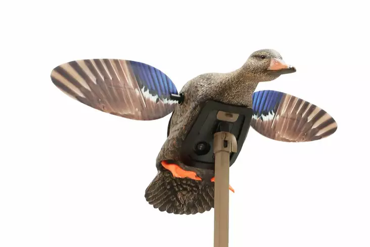 MOJO Elite Series Mini Mallard Hen - Decoys - 816740004570 - 1