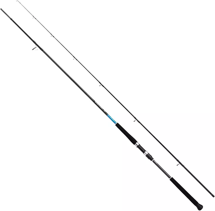 Shimano Bassterra XT Shore Jigging 9'6" 20-80g - Sea Bass Rods - 8717009888790 - 1