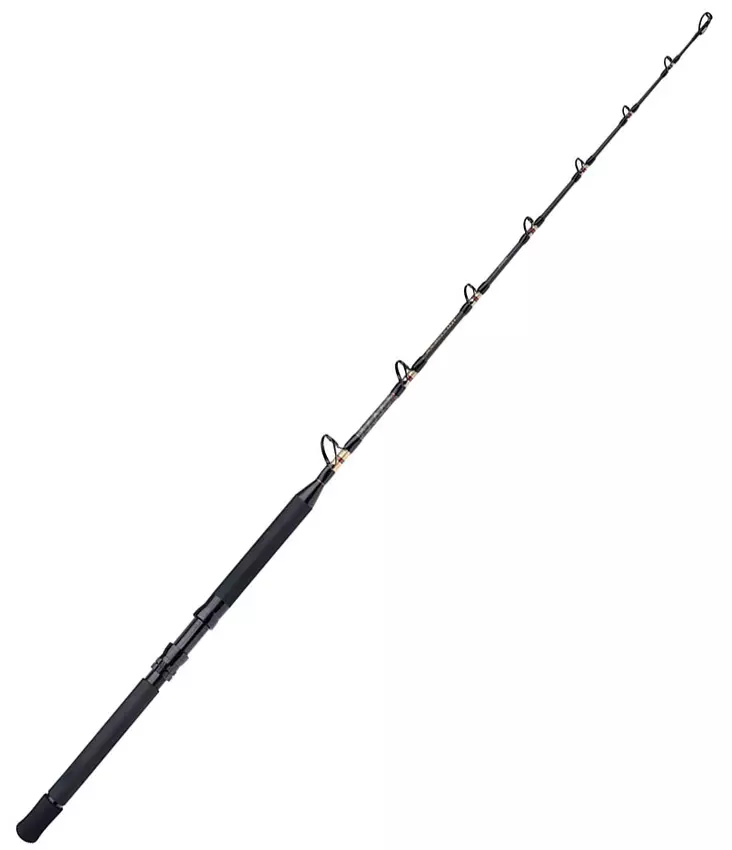 Shimano TLD B Standup 5'5" 30lb 1pc - Boat Rods ofr Jigging - 8717009868600 - 1