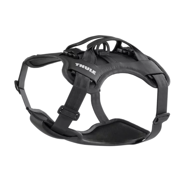 Thule Cappy Black - Other Dog Accessories - 197074666130 - 1