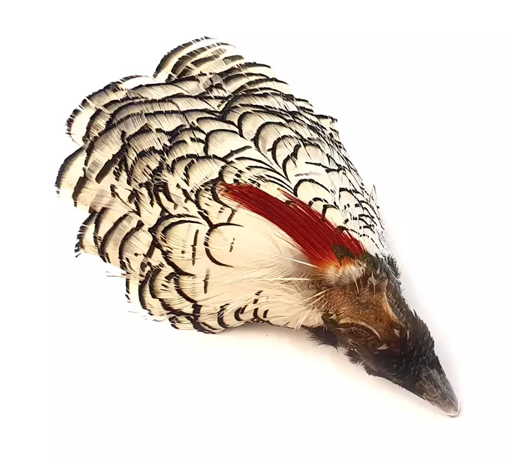 Veniard Amherst Pheasant Head No.1 - Skins, Wings and Heads - 5056304600007 - 1