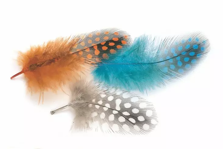 Veniard Guinea Body Feathers - Other Feathers and Plumes - 40400400040 - 1