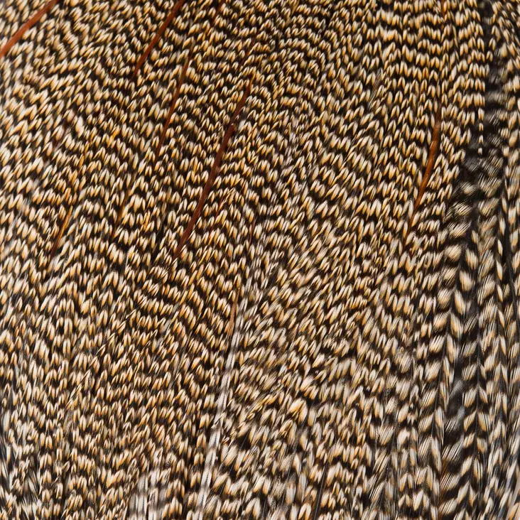 Whiting Dry Fly Cape Silver Grade Dry fly cape - Ruoto.com webstore