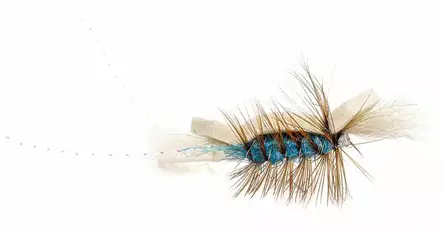Foamber Labatt Blue - Salmon Flies - 8859202536501 - 1