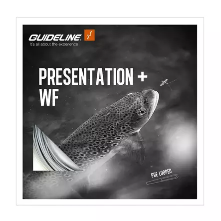 Guideline Presentation+ Float WF2 - Floating - 7033841071871 - 1